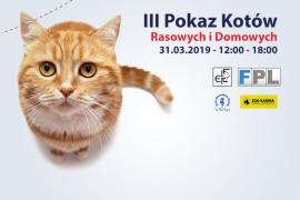 <b>Wybierz zwycięzcę tegorocznej edycji Pokazu Kotów Rasowych<br> i Domowych!</b>